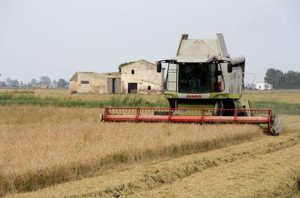 Les Terres de l’Ebre patiran menys la crisi econòmica per la pandèmia de la COVID-19