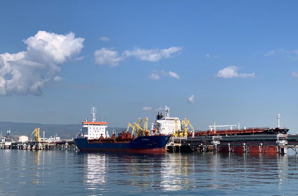 La dependencia de energéticos merma la velocidad de recuperación del Port
