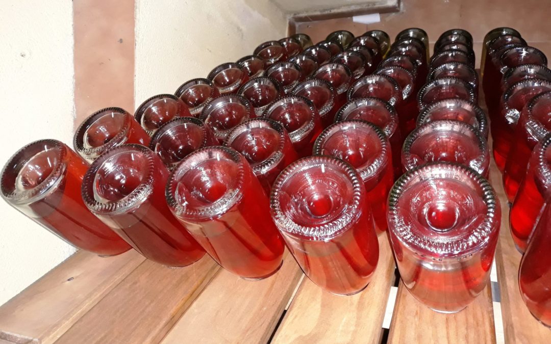 La DO Tarragona celebrarà l’equinocci de primavera amb els primers vins escumosos ancestrals