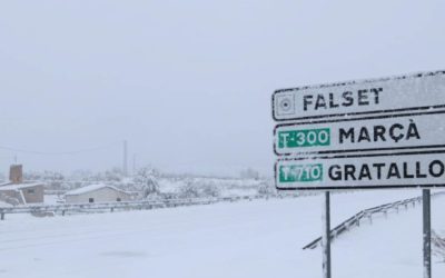 La Cambra de Comerç de Reus demana al Govern de la Generalitat que sol·liciti la declaració de zona catastròfica per les comarques del Priorat i la Terra Alta