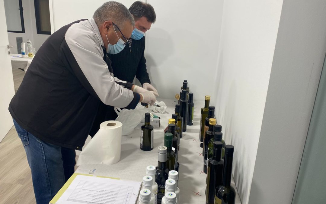 47 mostres opten al millor oli d’oliva verge extra del Concurs de Tast de la Fira de l’Oli i la Garrofa de Jesús