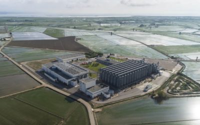 Nomen Foods facturó 29,8 M, un 6% menos