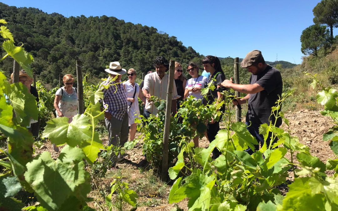 La DO Tarragona aprofitarà la Setmana Santa per presentar l’enoturisme com una activitat segura amb totes les garanties
