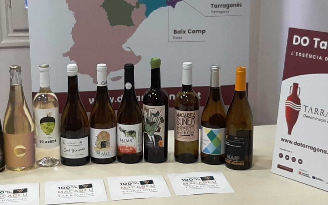 La DO Tarragona apadrina la varietat macabeu per posicionar-la amb força i prestigi davant del consumidor català