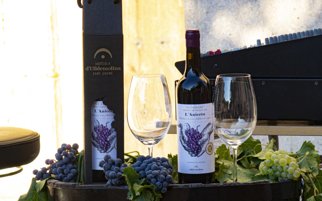 Agrícola d’Ulldemolins presenta ‘L’Aniceto’