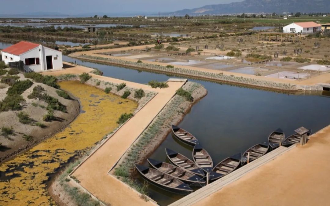 MónNatura Delta de l’Ebre engega la desena temporada amb noves activitats ornitològiques i familiars