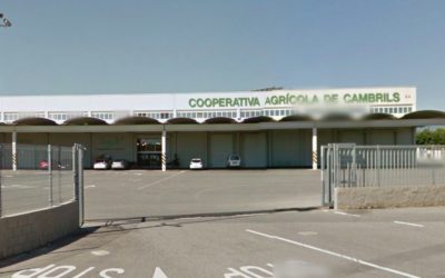 Decreten el concurs voluntari de creditors de la Cooperativa Agrícola de Cambrils