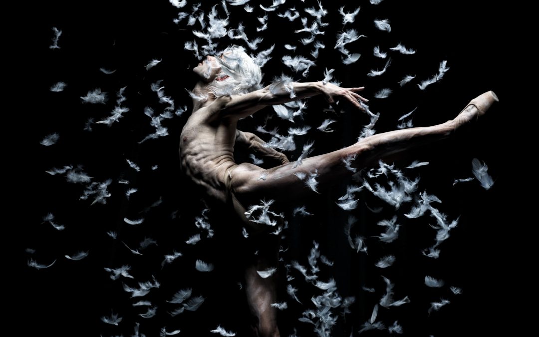 Dansa clàssica i contemporània amb el Ballet de Barcelona aquest divendres al Teatre Tarragona