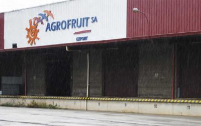 El concurs de creditors d’Agrofruit anirà a judici el 16 de maig