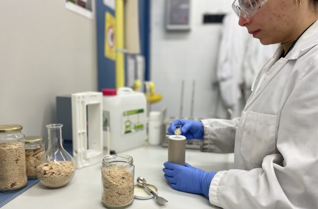 La URV lidera una investigación para producir biocombustibles, fertilizantes y sensores a partir de biomasa