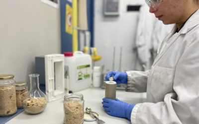 La URV lidera una investigación para producir biocombustibles, fertilizantes y sensores a partir de biomasa