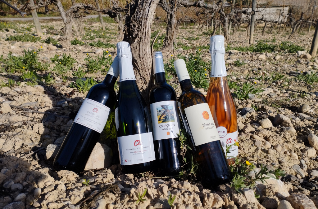 La Facultat d’Enologia presenta els nous vins de la collita 2022