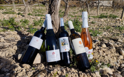 La Facultat d’Enologia presenta els nous vins de la collita 2022