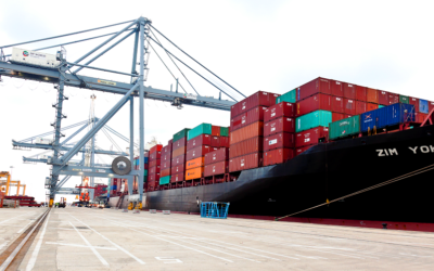 El Port recupera la terminal de contenedores de DP World con el fin de relanzarla