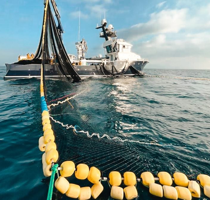 Balfegó inicia la campanya de pesca de tonyina vermella aquest divendres generant 300 ocupacions directes