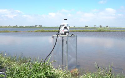 Eurecat desplegarà al delta de l’Ebre una xarxa de finques pilot per al foment de la bioeconomia i la resiliència climàtica