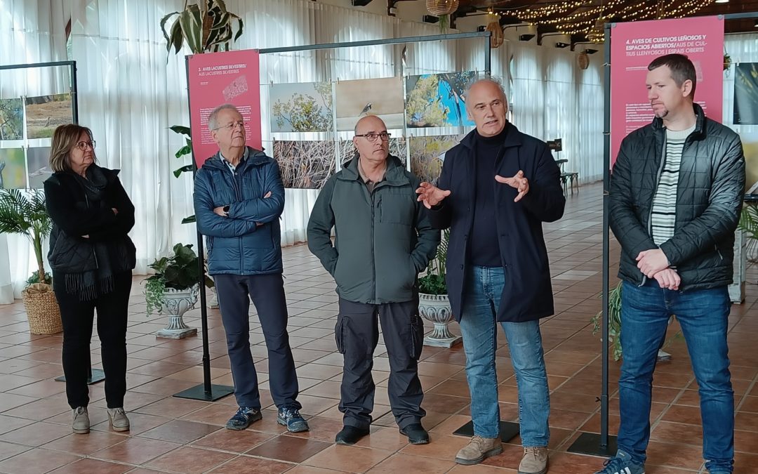 Una exposició fotogràfica recull la riquesa ornitològica del Parc Samà