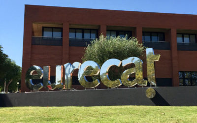 Més del 90 per cent de les empreses que innoven amb Eurecat són pimes