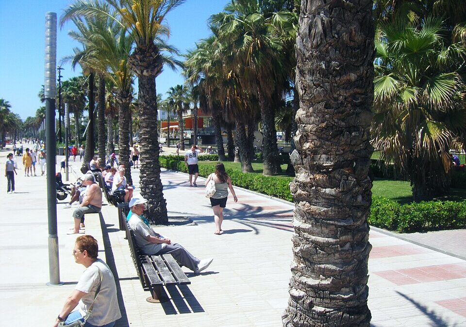 Una càtedra de la URV busca promoure Salou i la Costa Daurada com a destinacions turístiques referents en innovació i sostenibilitat