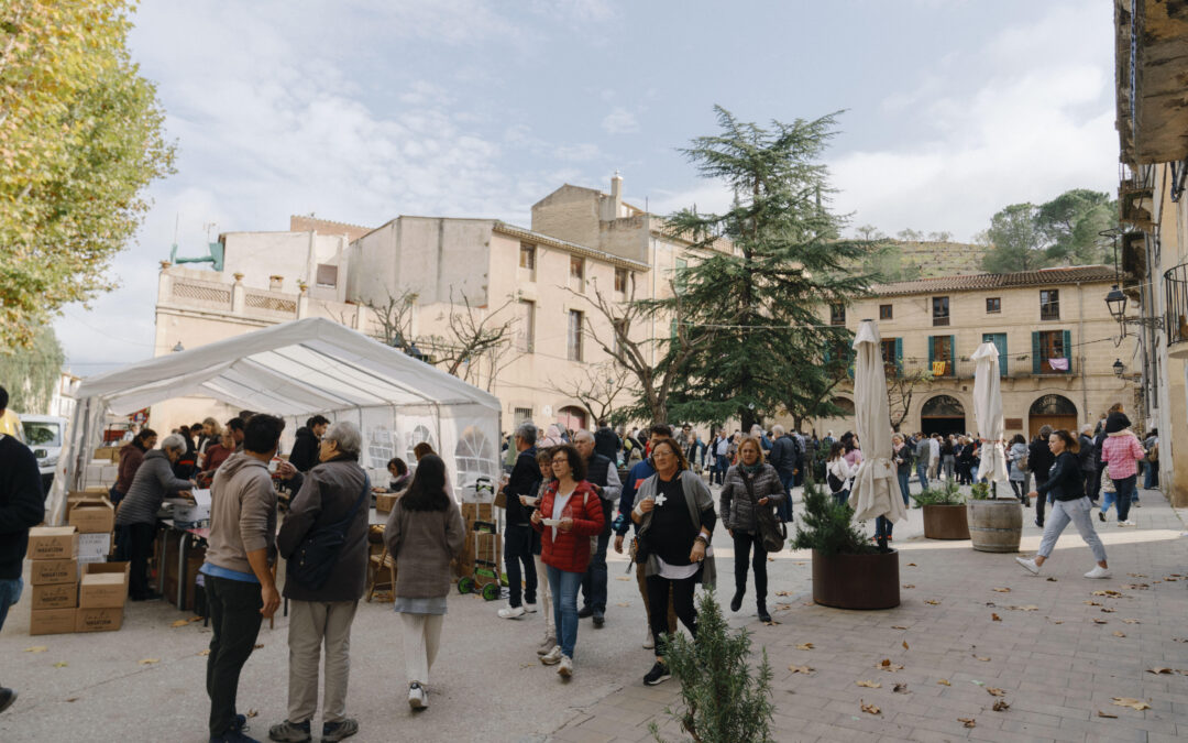 El Tasta Porrera 2025 serà epicentre de l’enoturisme al Priorat aquesta tardor