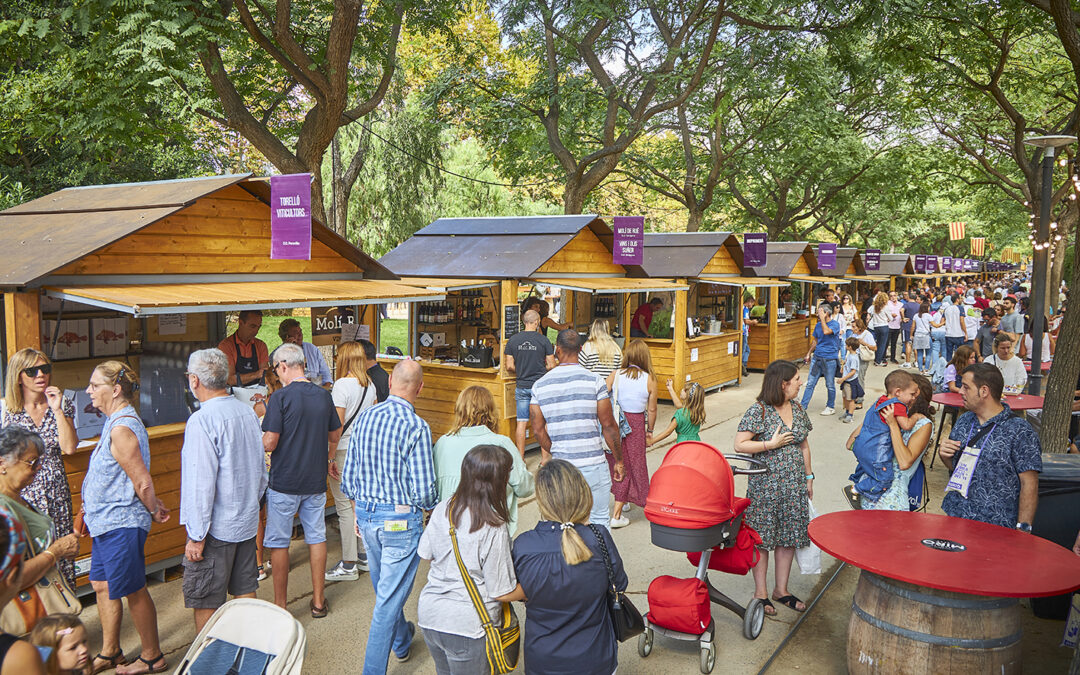 El Festival del Vi i la Gastronomia de Cambrils preveu una edició de rècord amb més de 70 expositors