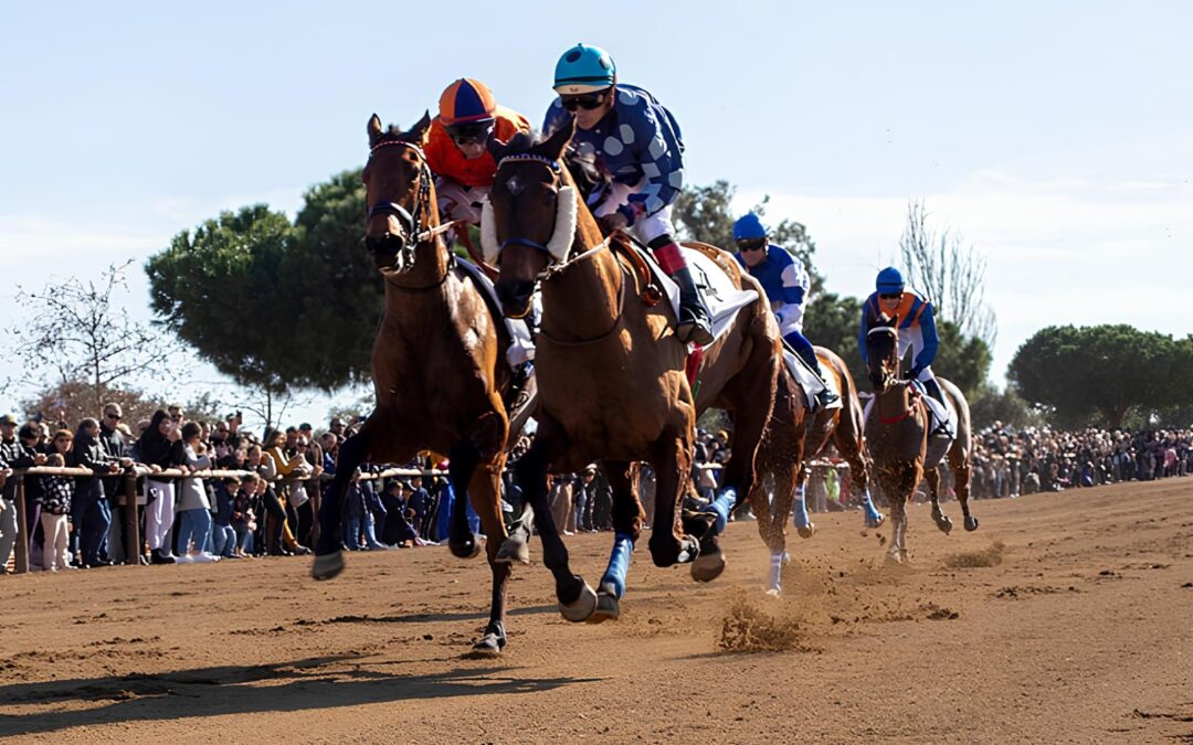 Nova data per les tradicionals curses de cavalls de Sant Antoni de Vila-seca