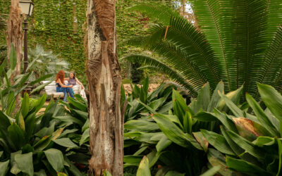 El Parc Samà estrena una experiència de benestar inspirada en els banys de bosc